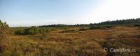 panorama Velký močál